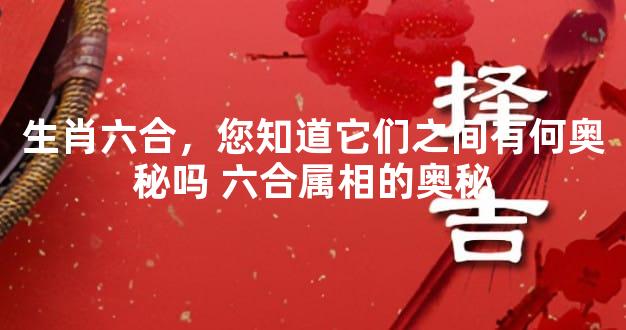 生肖六合，您知道它们之间有何奥秘吗 六合属相的奥秘